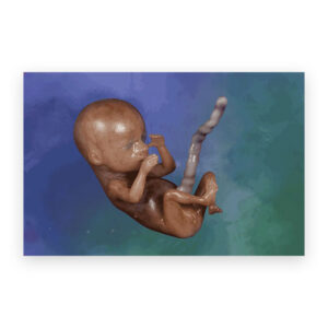 3D Pro-life Postcard